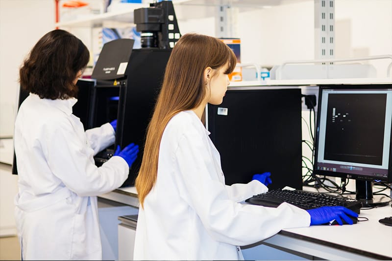 Rigorous Quality Assurance